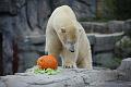 2015-10-22 06-29-48 (2)